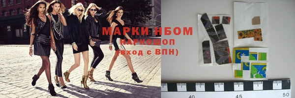 ешки Горняк