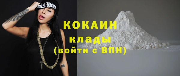 ешки Горняк