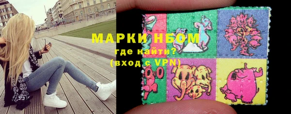 ешки Горняк
