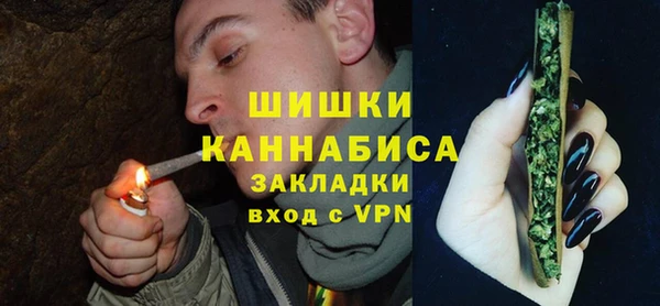 шишки Губаха