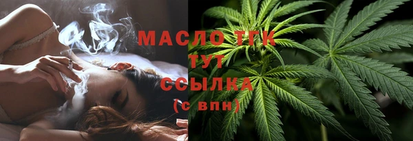 ешки Горняк