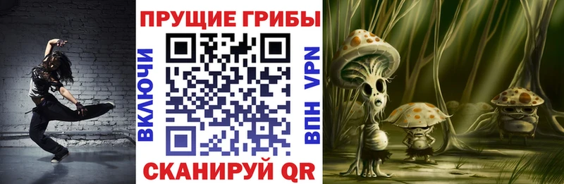 как найти   Москва  ссылка на мегу как зайти  Галлюциногенные грибы мицелий 